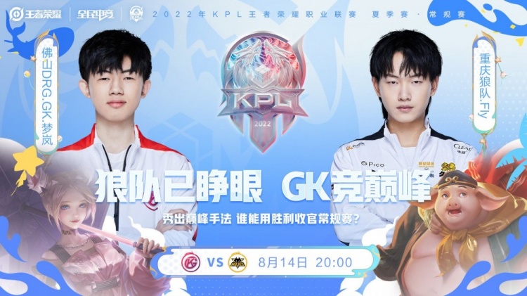 外援问题成
